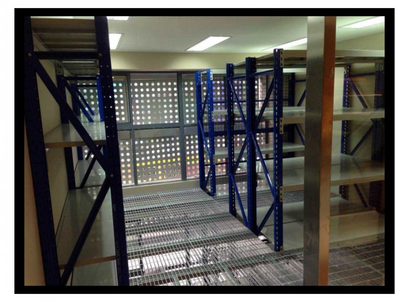 ��¥����